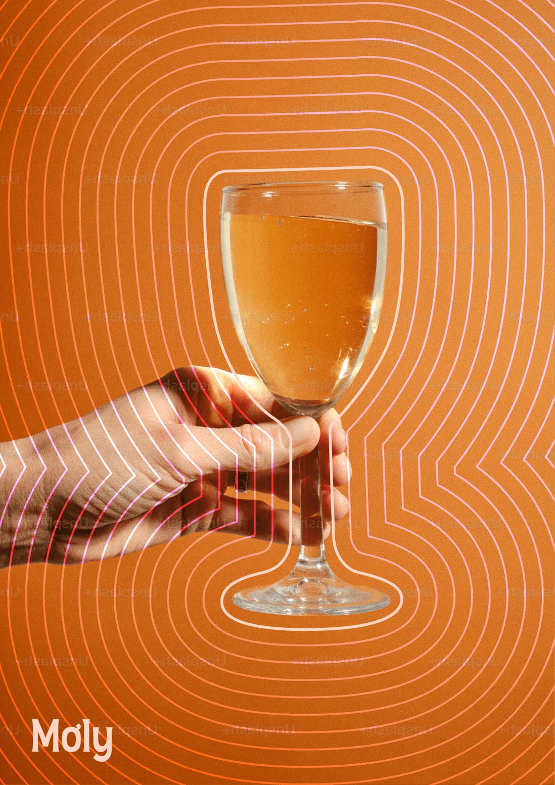 Mơ Ly Apricot Liquor Branding — Concept 1 / 02