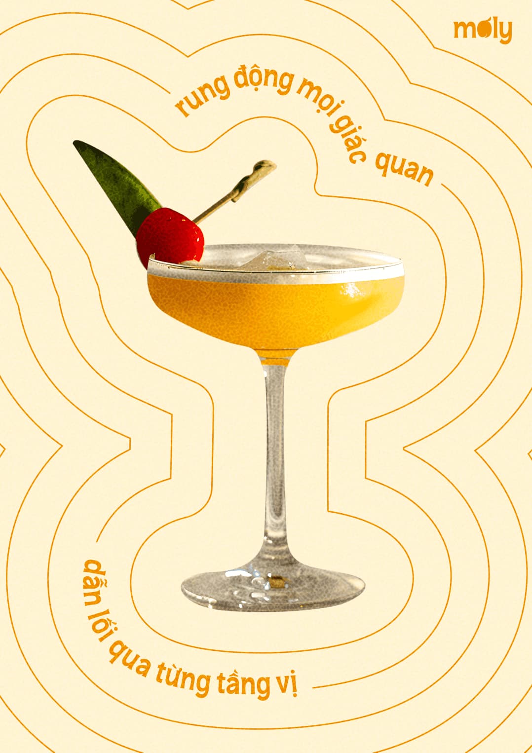 Mơ Ly Apricot Liquor Branding — Concept 3 / 06