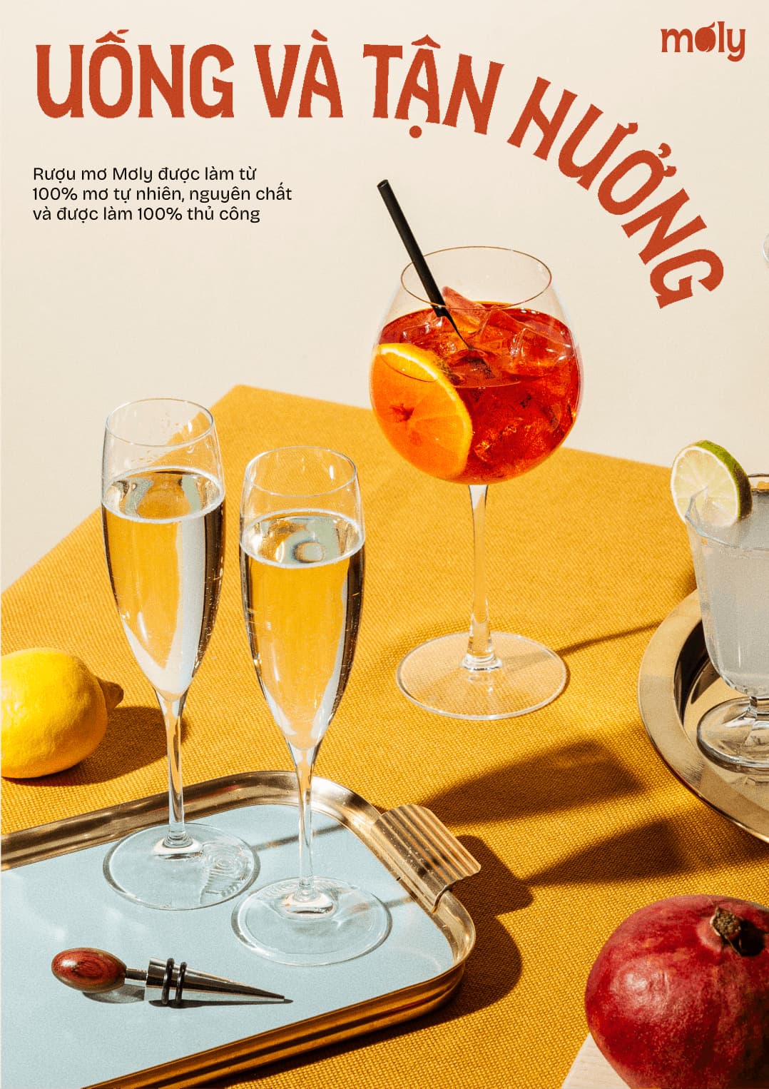 Mơ Ly Apricot Liquor Branding — Concept 3 / 08